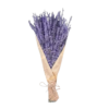 CPAP-store-usa-dried-lavender-flowers-bedroom-shower-sleep-apnea-dallas-fort-worth-texasPNG