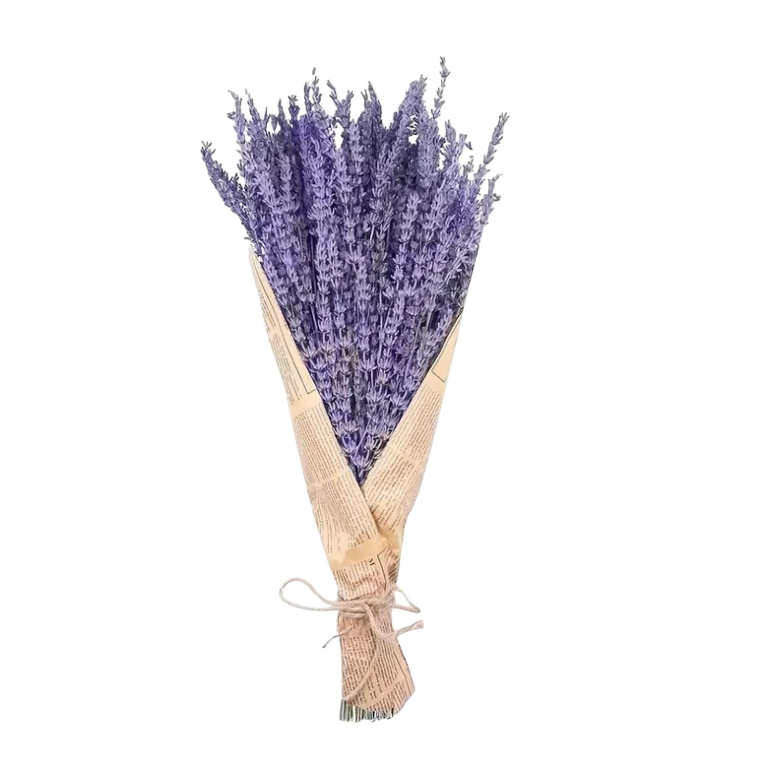 CPAP-store-usa-dried-lavender-flowers-bedroom-shower-sleep-apnea-dallas-fort-worth-texasPNG